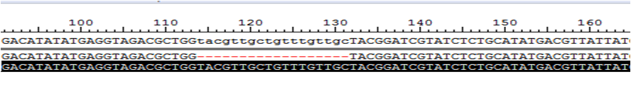  Gene Knockout