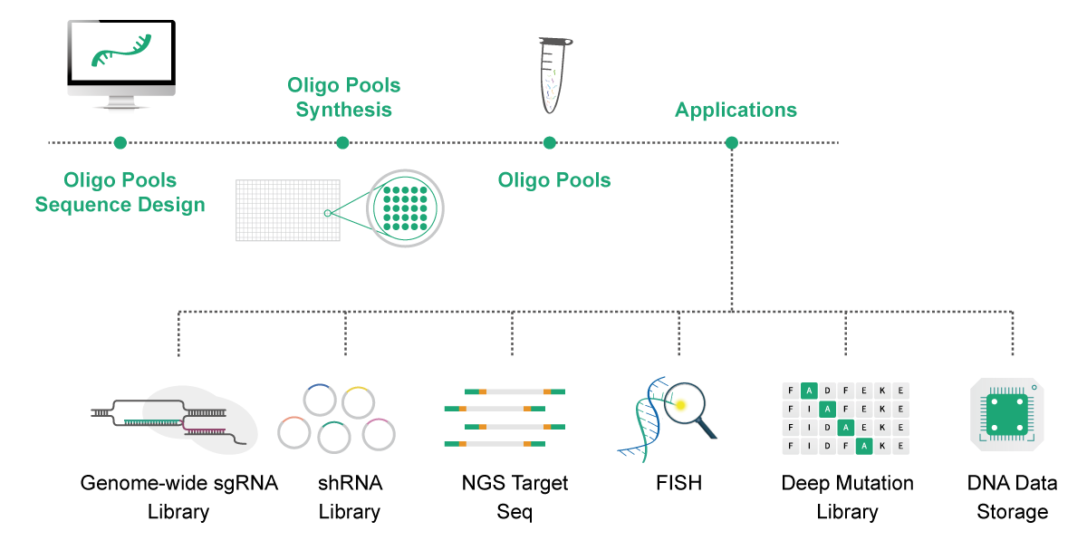 Oligo Pool Application